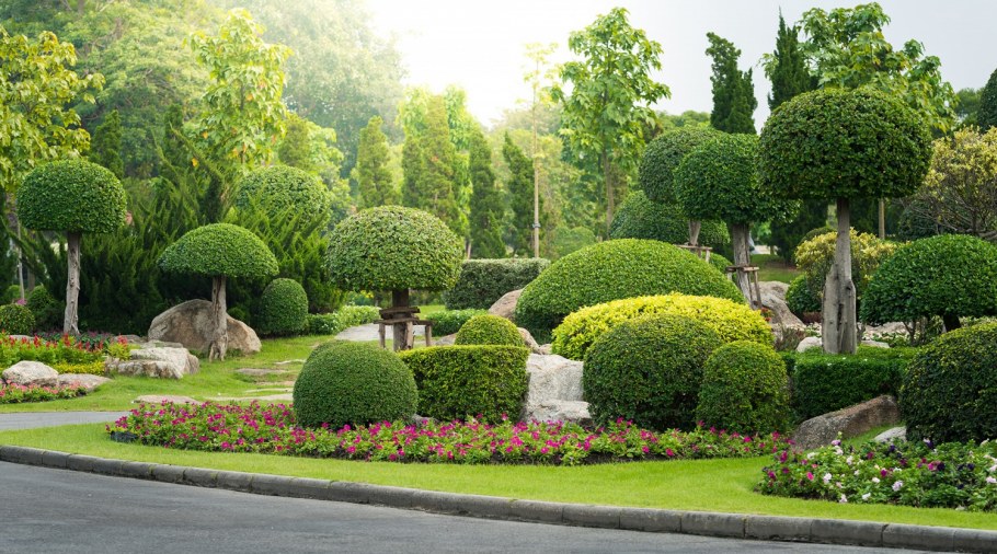 Озеленение Вашингтона