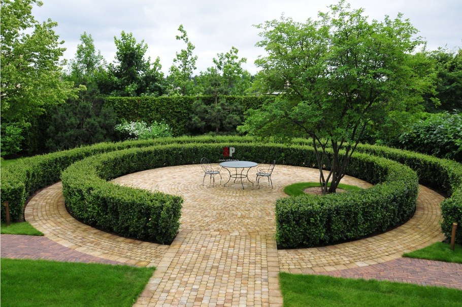 Озеленение лесного участка