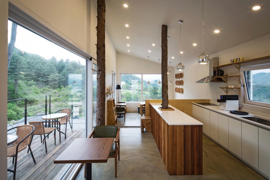 Аффреско джунгли