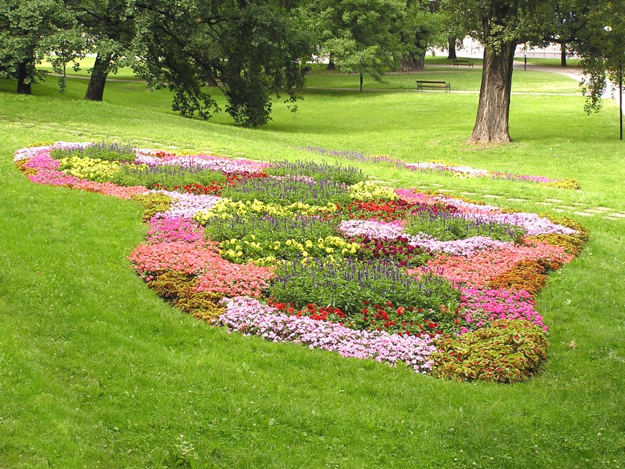 Многолетники в миксбордере