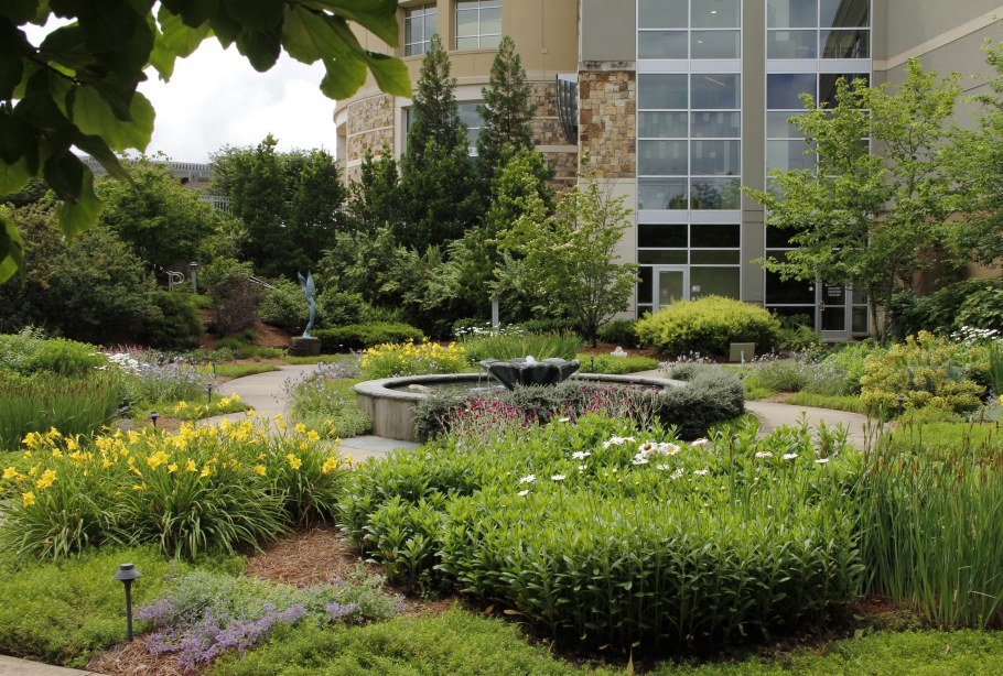 Сансевиерия в интерьере гостиной