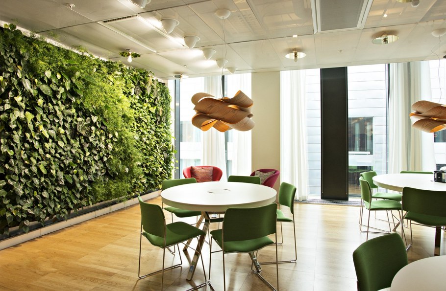 Вертикальное Озеленение растения фитодизайнер