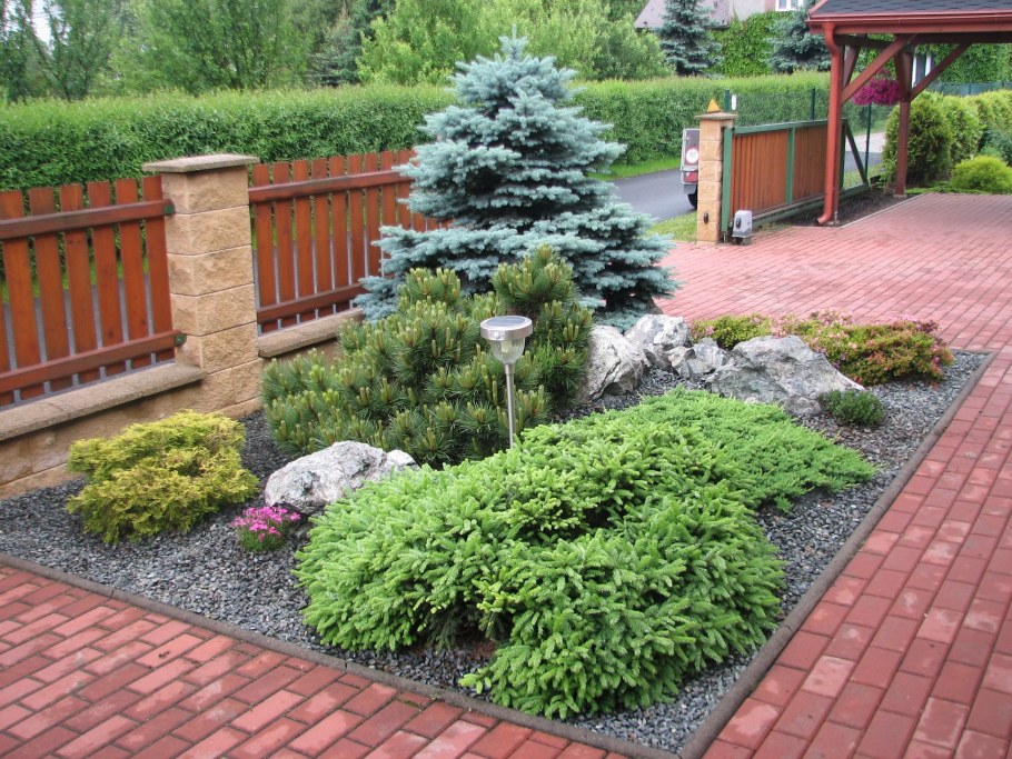 Рокарий с хвойниками