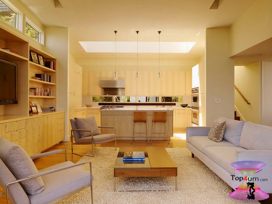 Обстановка кухни гостиной