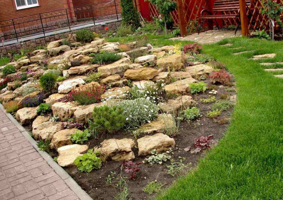 Барбарис на альпийской Горке