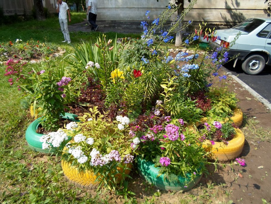 Клумбы для новичков