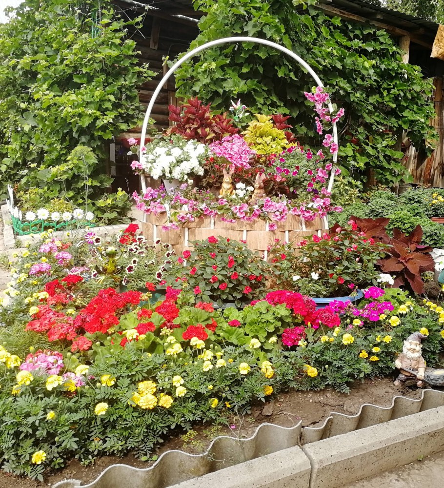 Красивые клумбы на даче