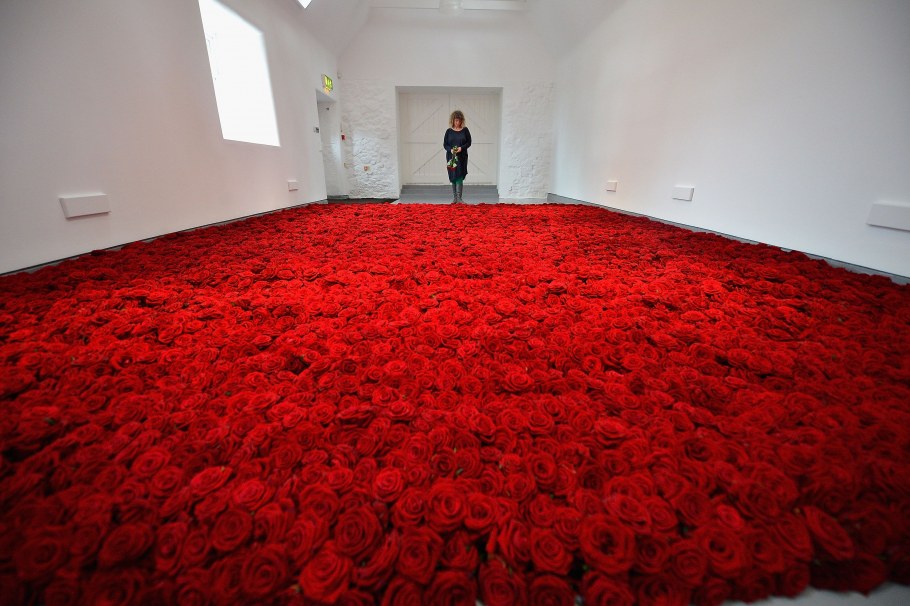 Ковер из лепестков роз