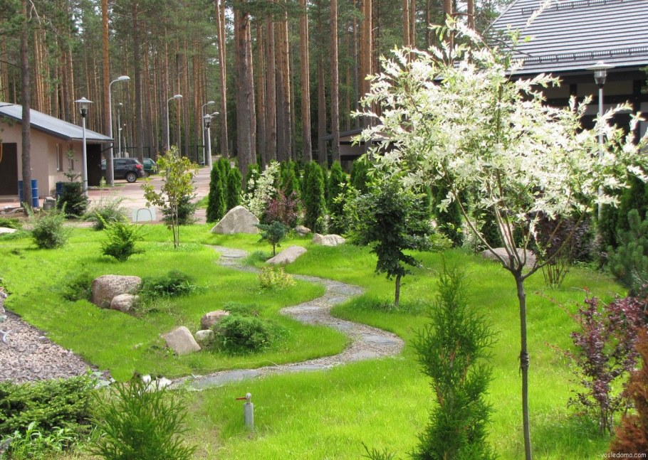 Ландшафт лесного участка