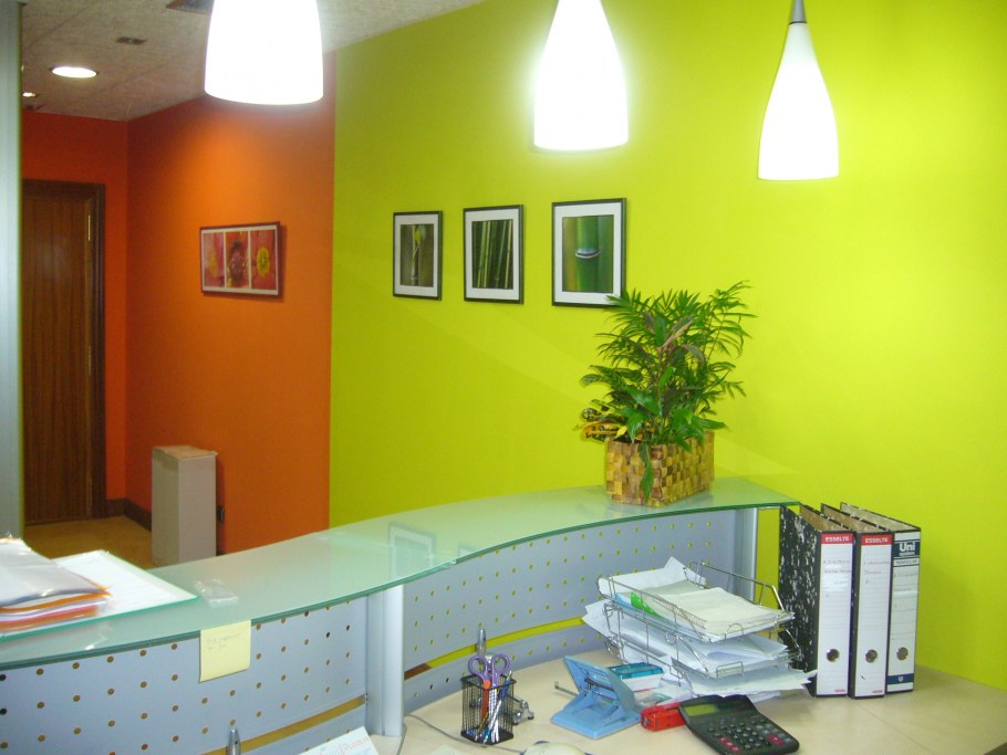 Желто зеленый офис