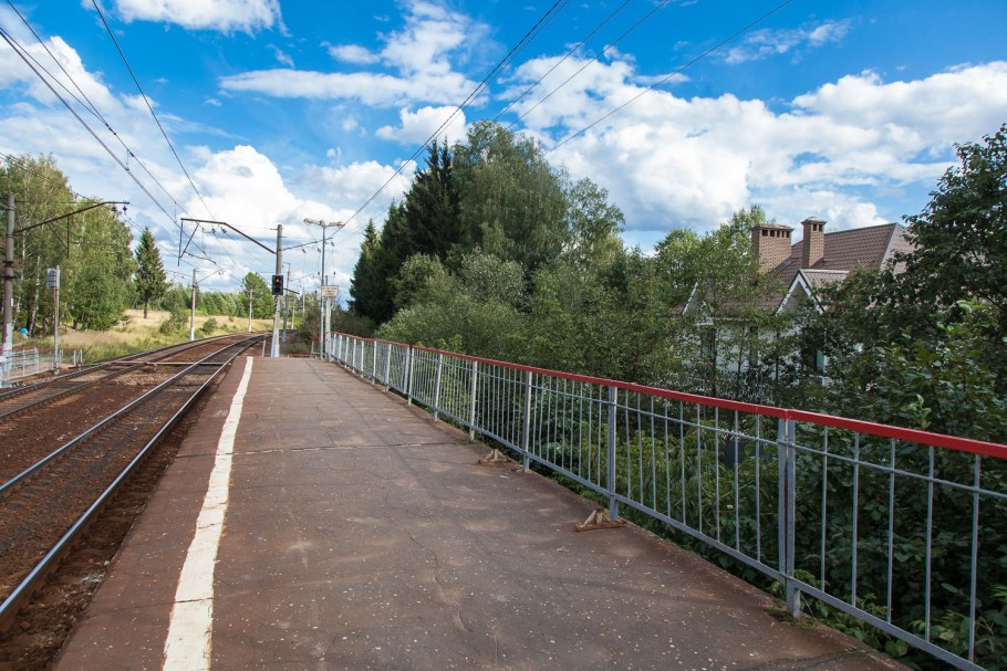 Снегири дачный поселок