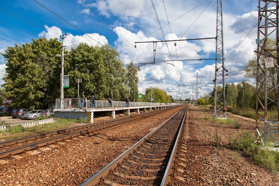 Зелёный Снегирь