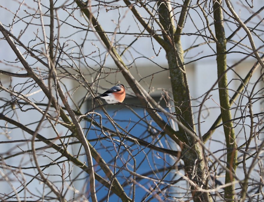 50 Км (платформа Рижского направления)