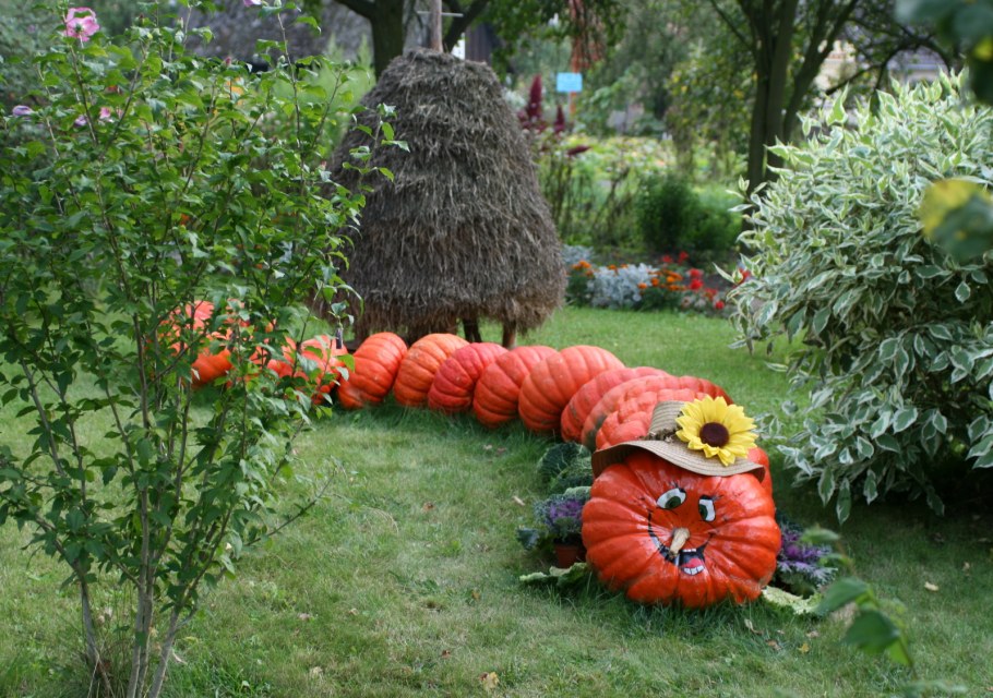 Декор для сада и огорода
