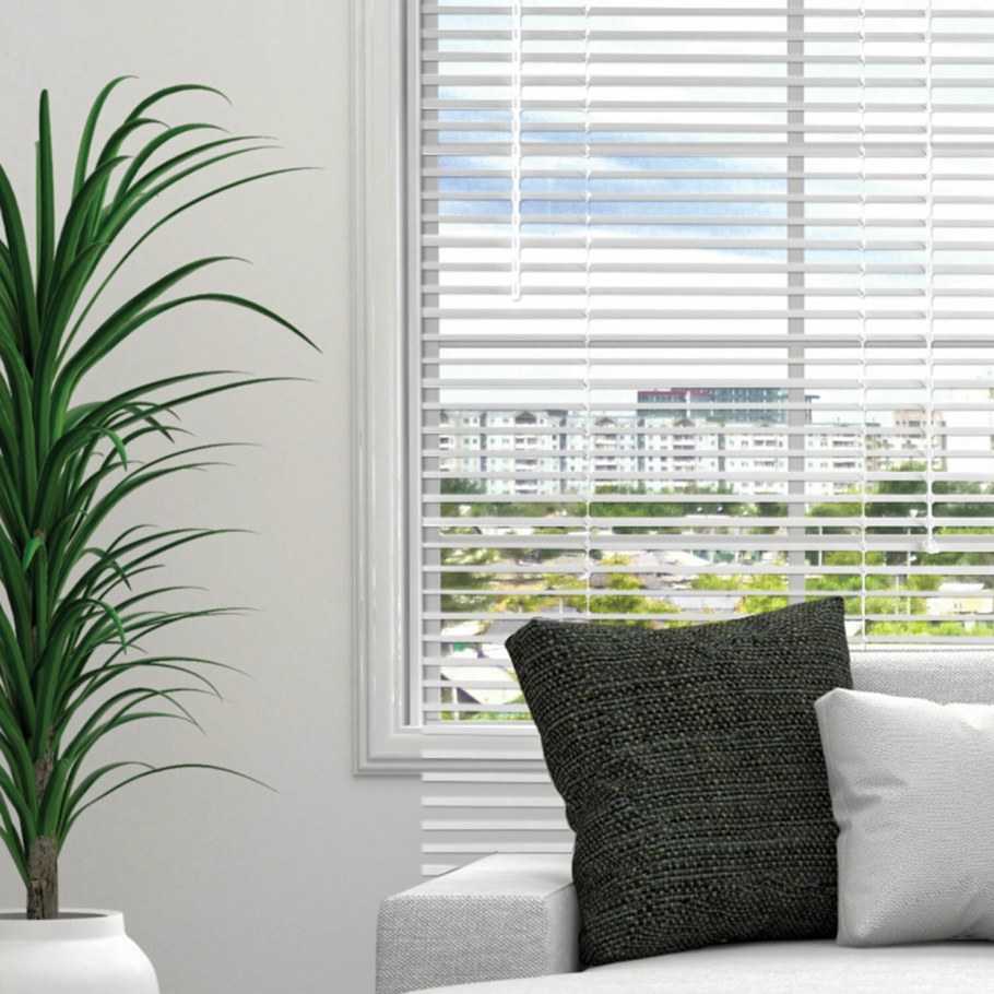 Рулонные шторы Эскар Райли