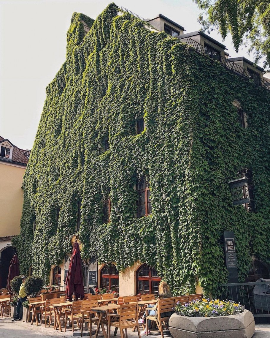 Стабилизированный мох в ванной