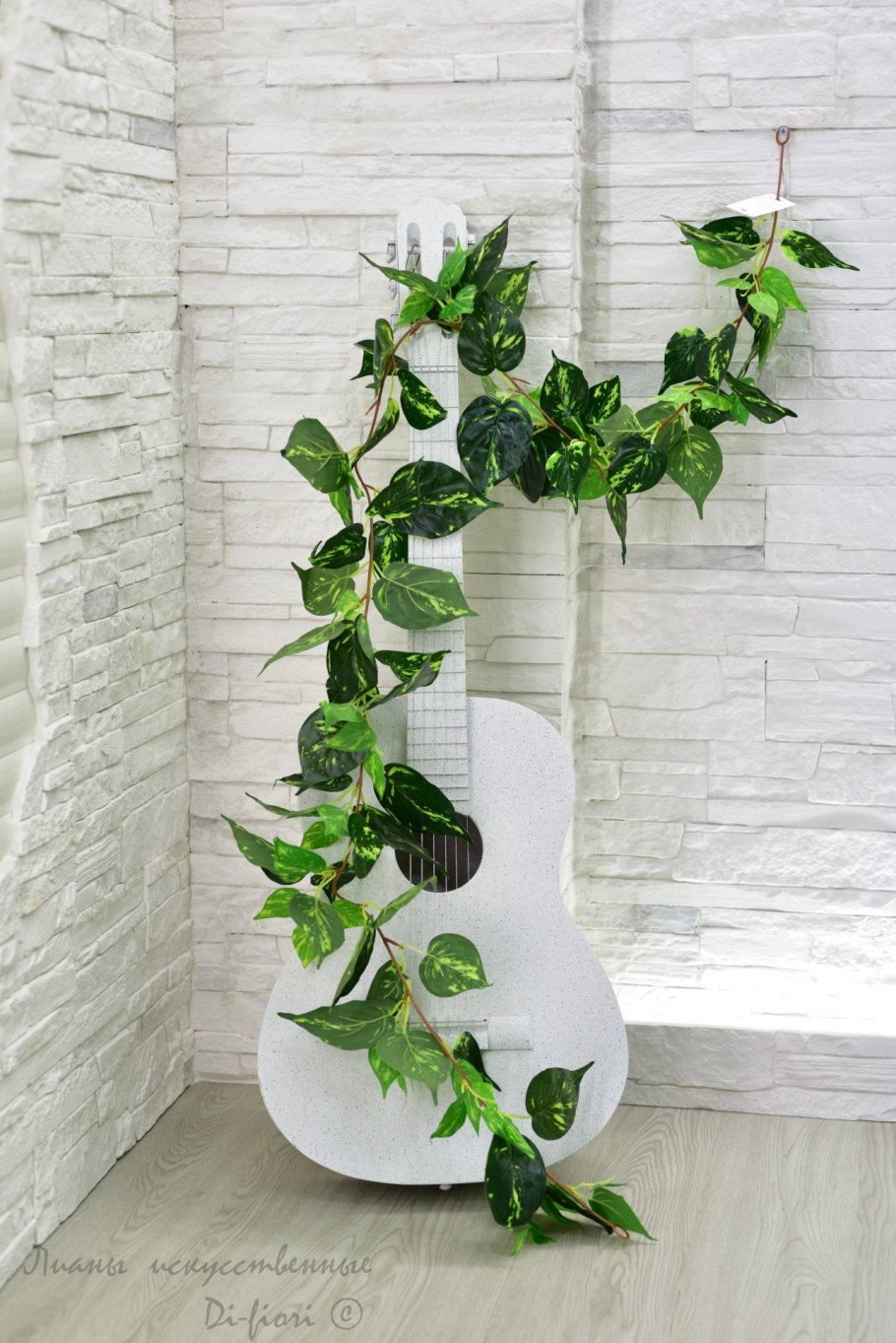 Вьющиеся комнатные растения в интерьере