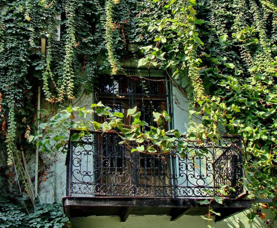 Свисающие цветы в горшках