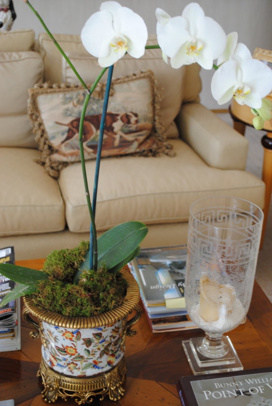 Полка орхидеи в гостиной