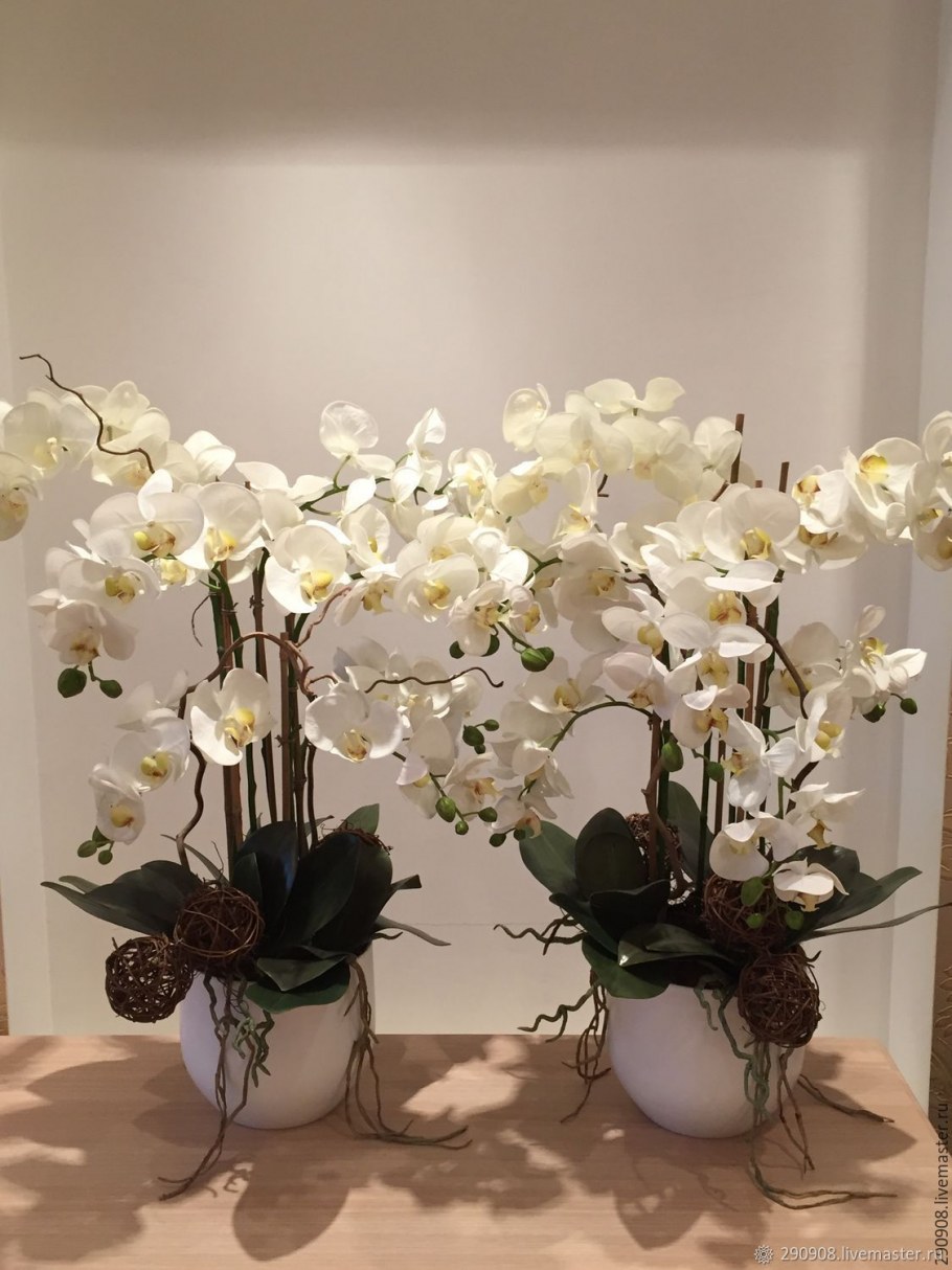 Орхидеи в интерьере