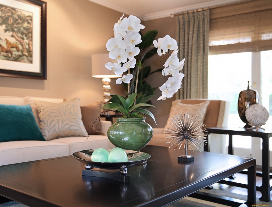 Интерьер комнаты с орхидеей