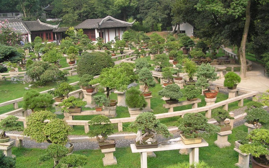 Сады бонсай в Японии