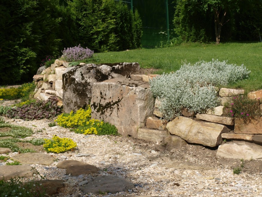 Рокарий на подпорной стенке