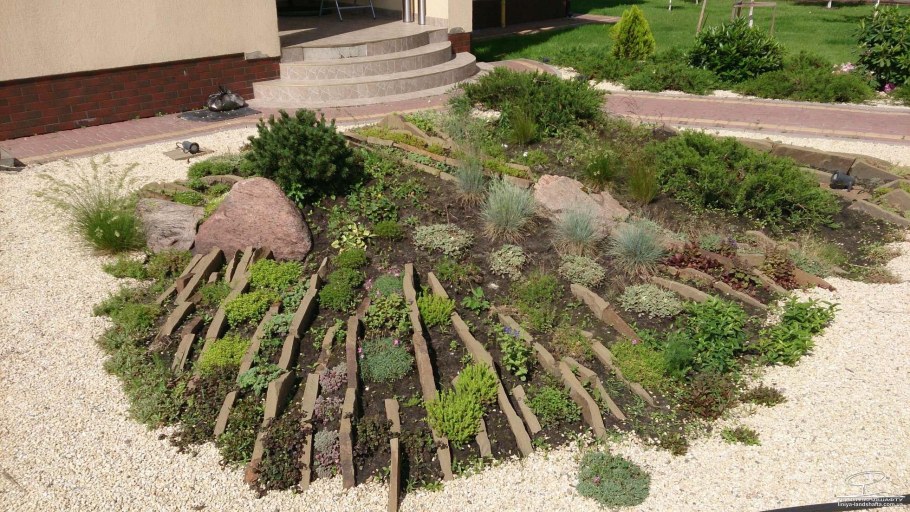 Рокарий чешская скалка