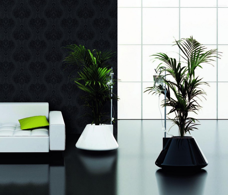 Гостиная с пальмами
