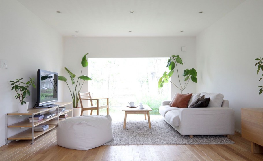 Живое дерево в интерьере