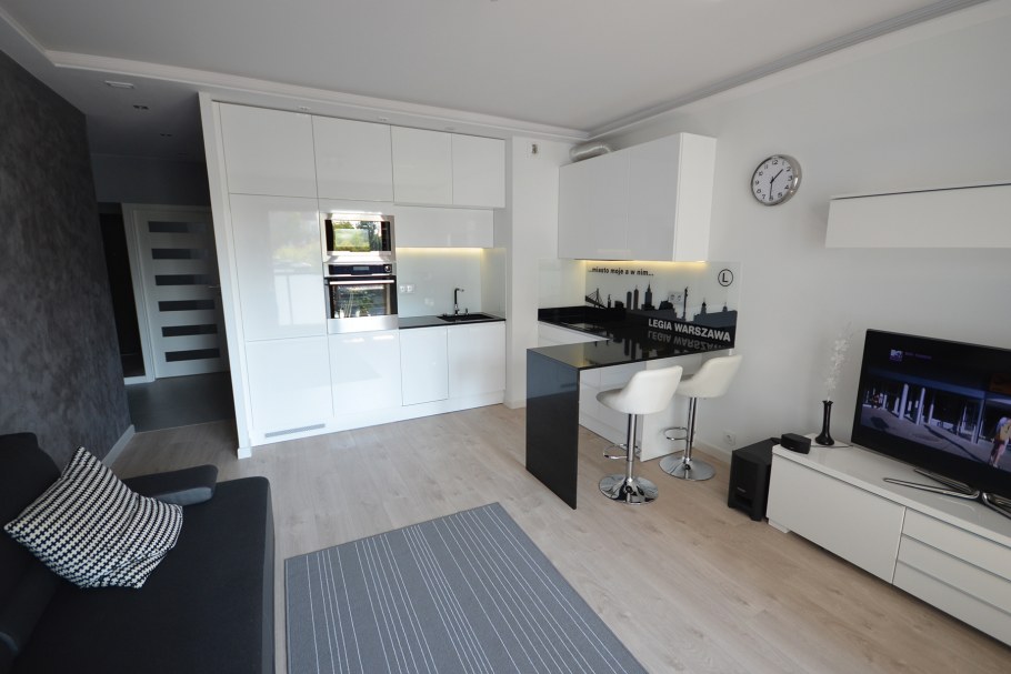 Угловая кухня студия с гостиной