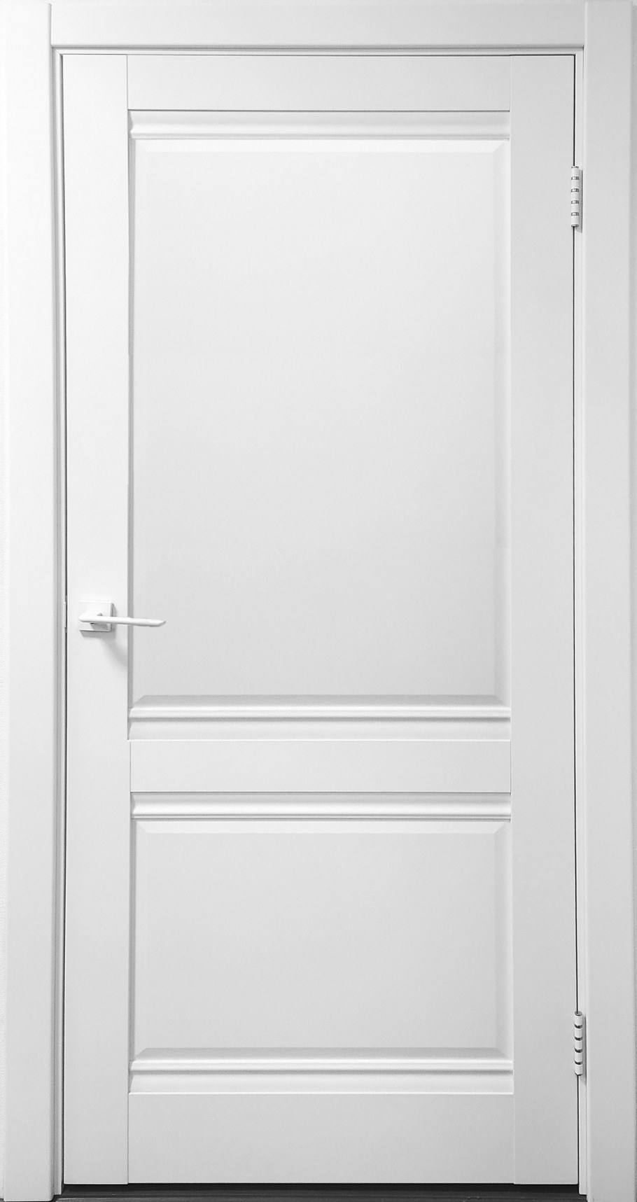 Дверь Турин 554