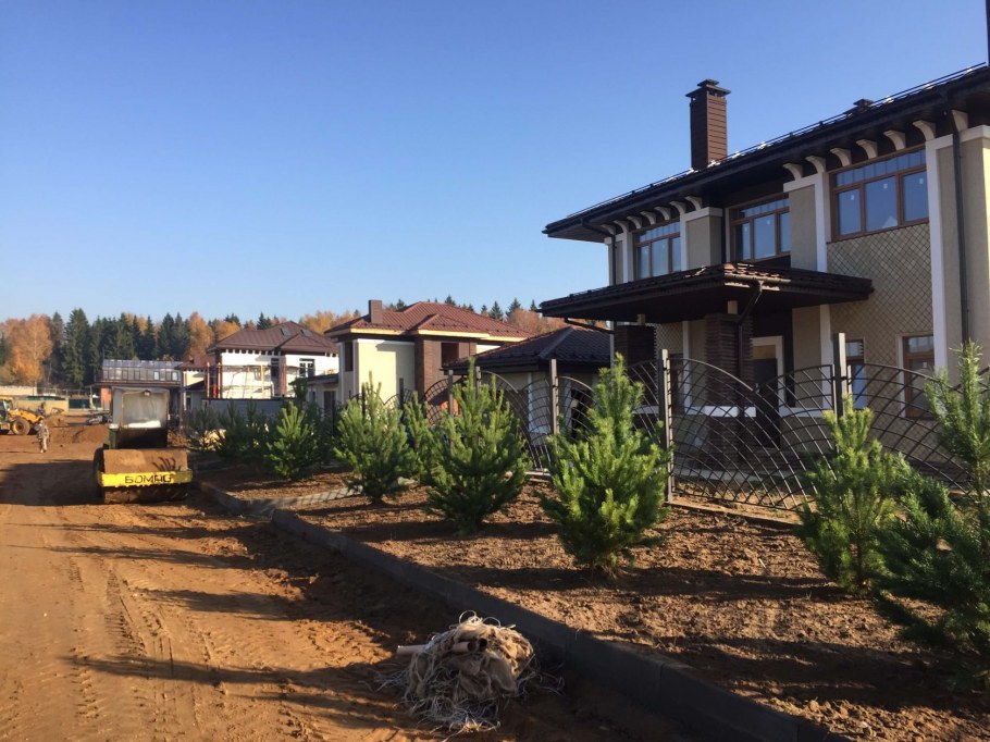 Семилуки летний берег