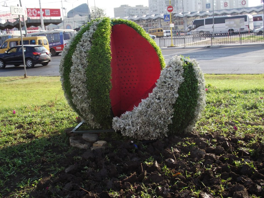 Необычные городские клумбы