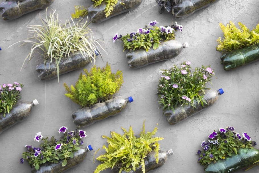 Креативные цветочные клумбы