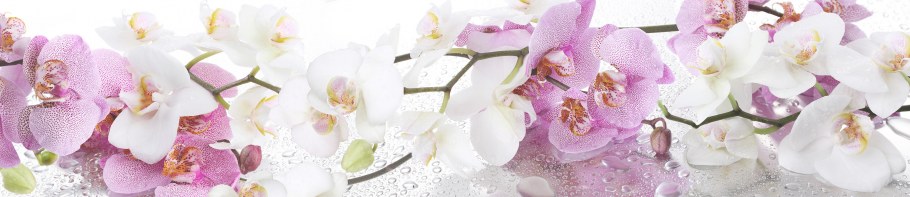 Фартук "орхидеи" 3000*600*1,5 мм (1) ЛДП