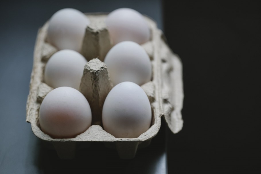 Huia. Egg (NMNZ or.007640, collected by 'Mikaera'). Wainuiomata