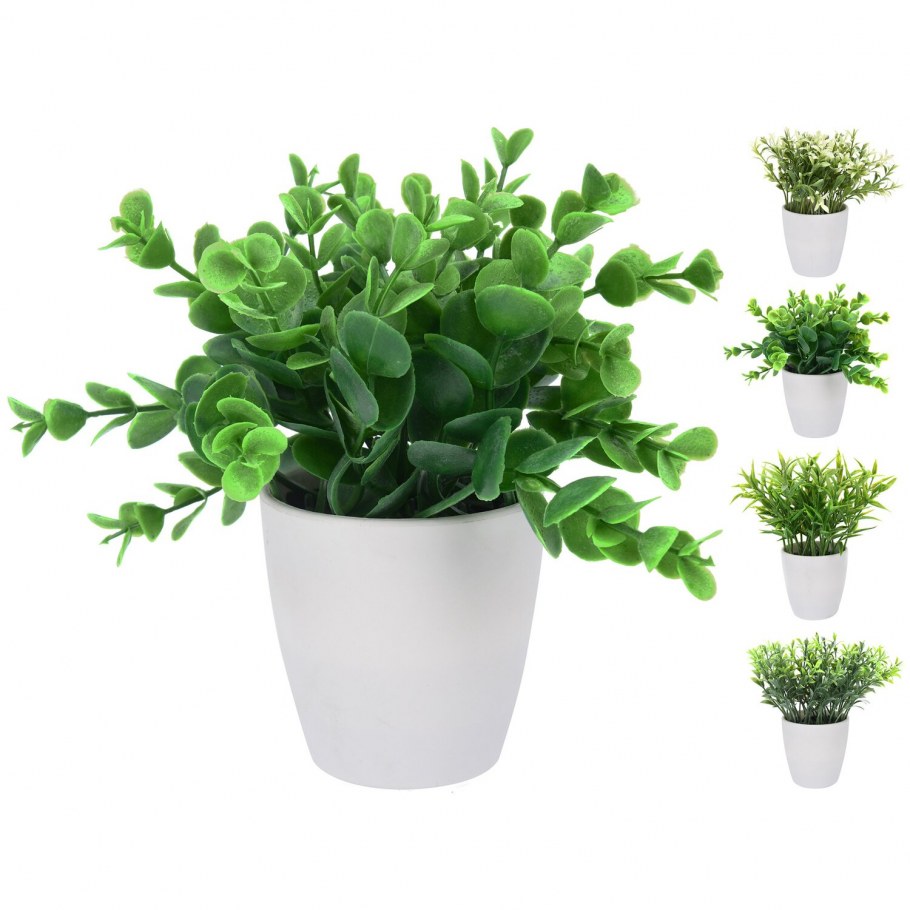 Растение в горшке