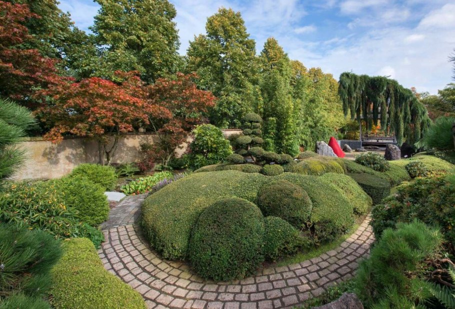 Куртина что это в ландшафте