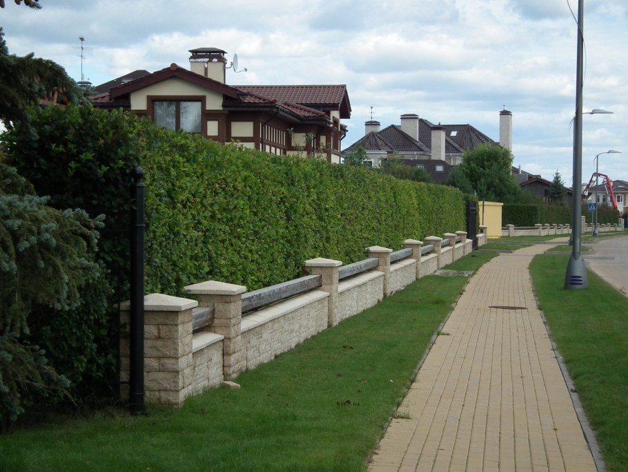 Балясникова изгородь