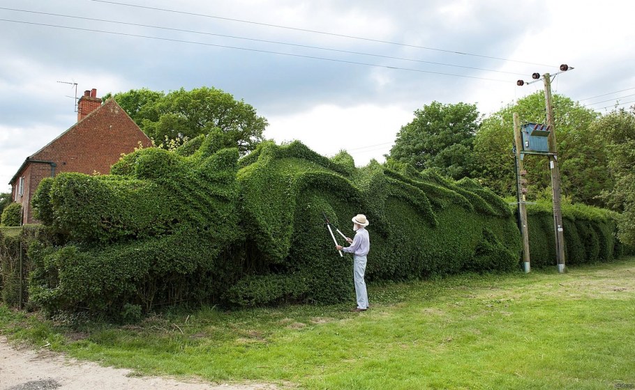 Зеленый дракон Топиар