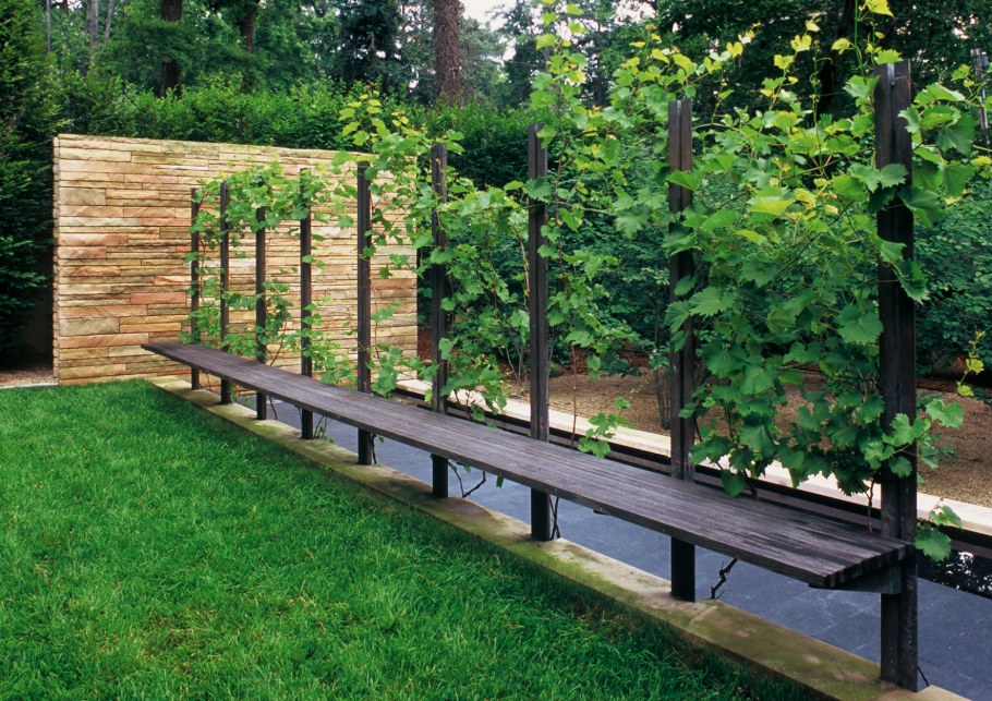 Шпалера вдоль забора