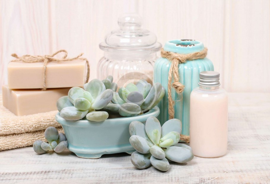 Мебель мятного цвета