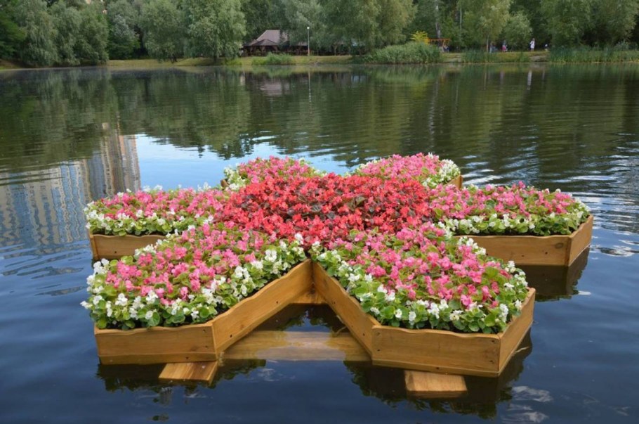 Плавающая клумба из пенопласта в пруду