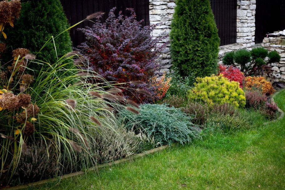 Пузыреплодник в миксбордере