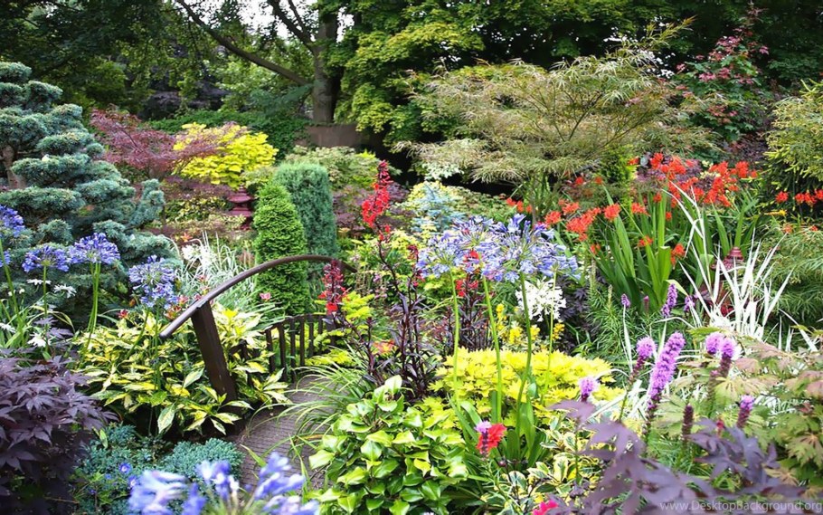 Натургарден в ландшафтном