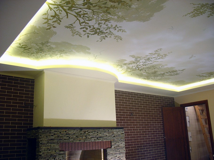 Художественные натяжные потолки фото