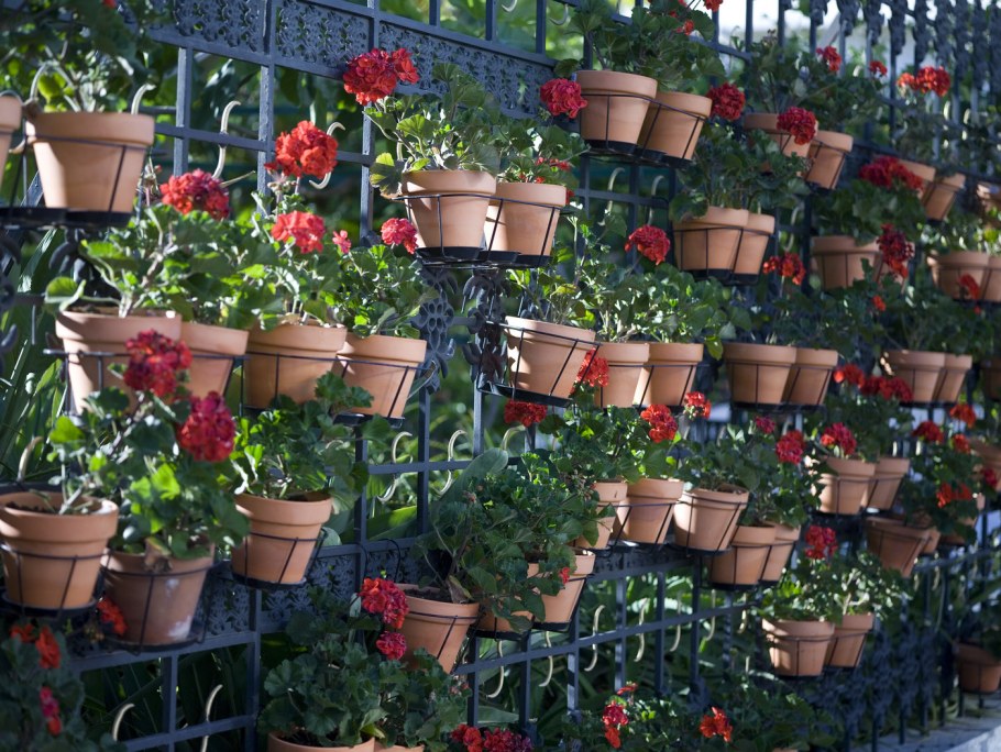 Вазон из веток