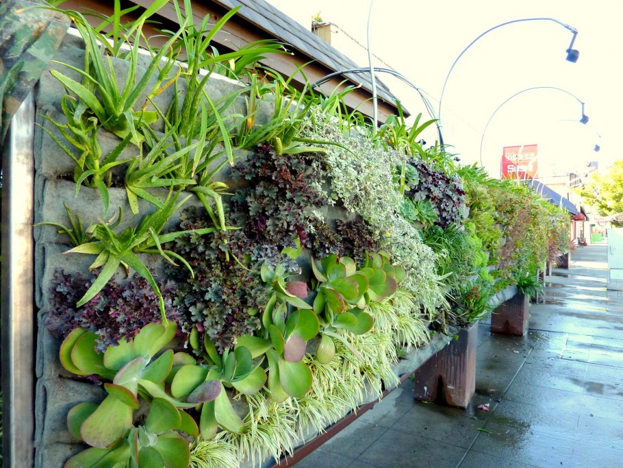 ASKHOLMEN АСКХОЛЬМЕН шпалера