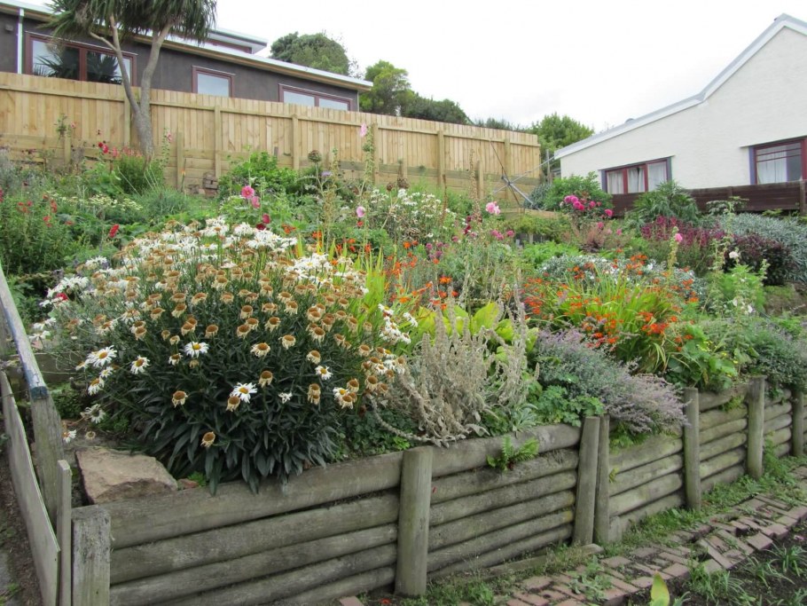 Петуния в саду фото оформление участка 6 соток